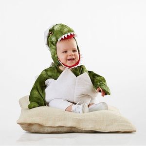 Pottery Barn Kids Baby Dino Costume